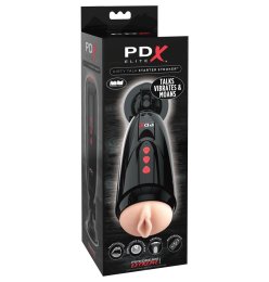 Dirty Talk Starter Stroker