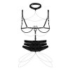 Harness Premisis