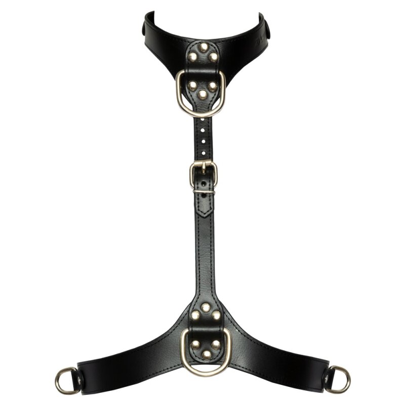 Chest Harness