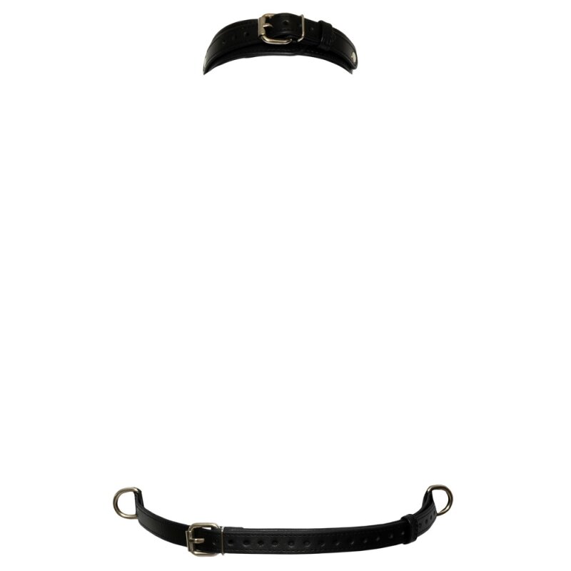 Chest Harness