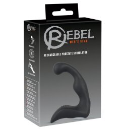 Prostate Vibrator