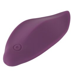 Sweet Smile RC Panty Vibrator