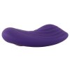 Panty Vibrator