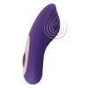 Panty Vibrator