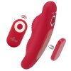 Sweet Smile RC Panty Vibrator