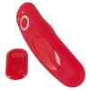 Sweet Smile RC Panty Vibrator