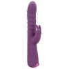 2 Function Rabbit Vibrator