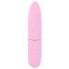 Mini Vibrator