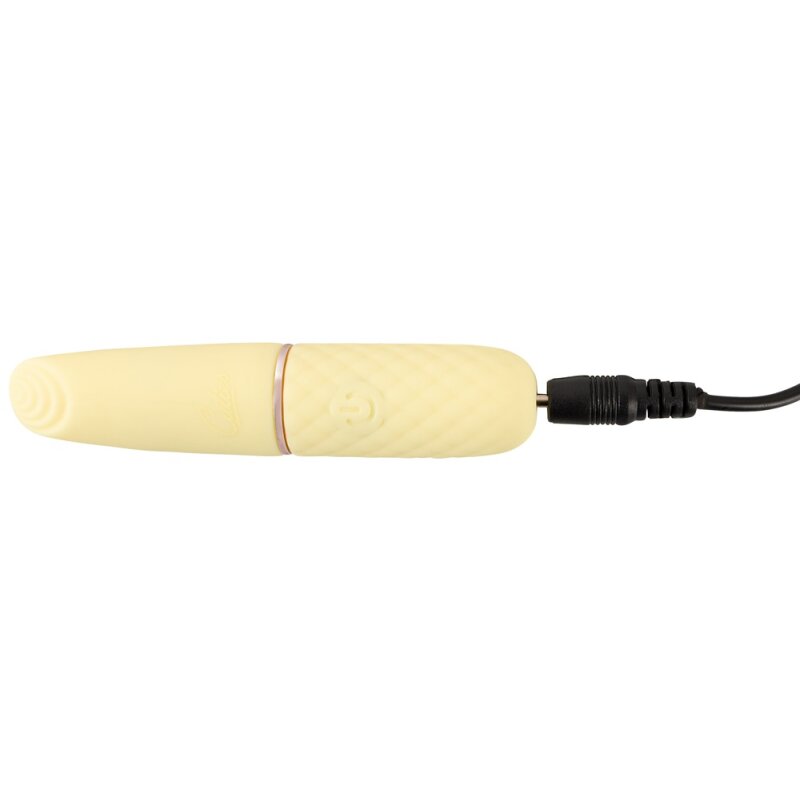 Mini Vibrator