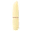 Mini Vibrator