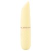 Mini Vibrator