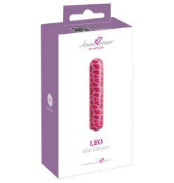 LEO Mini Vibrator
