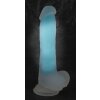 Glow in the Dark Dildo