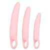 Vaginal Trainers