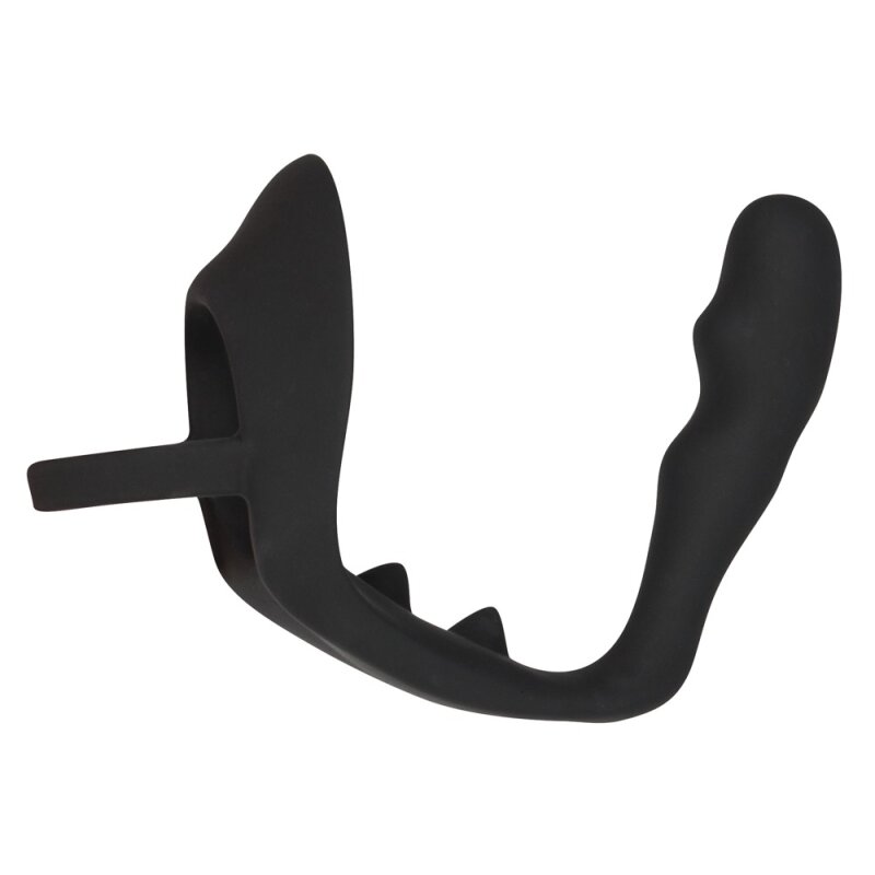Ring & plug