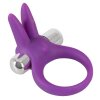 Vibrating Cock Ring