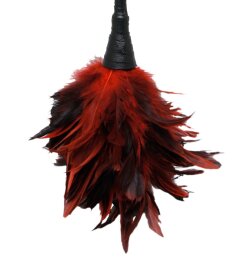 FFS Frisky Feather Duster