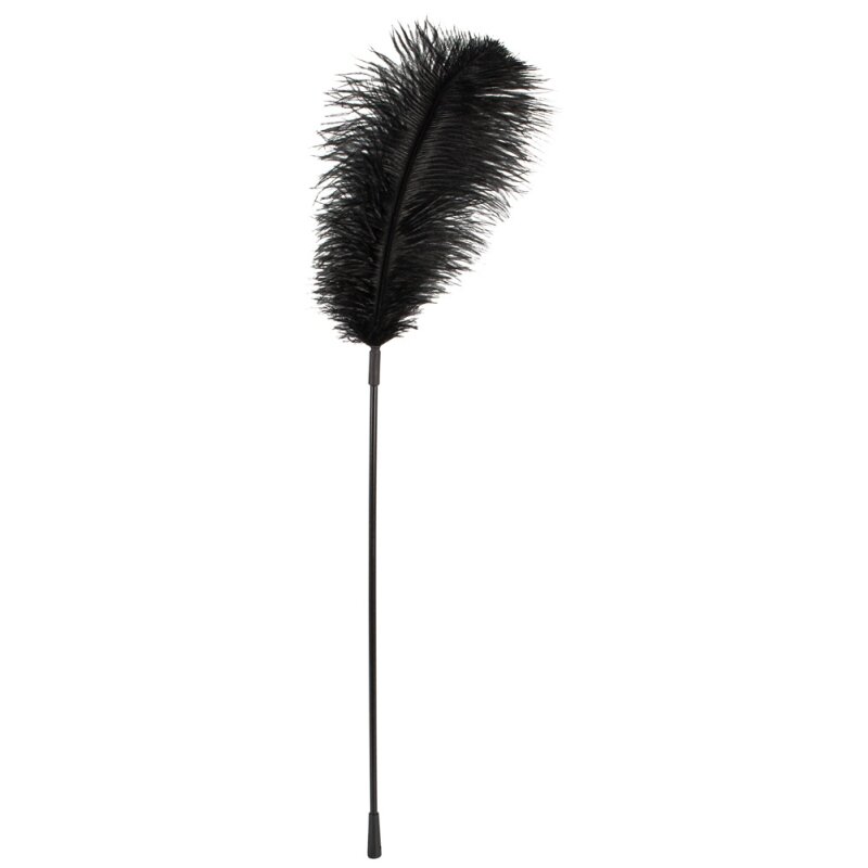 Feather Wand