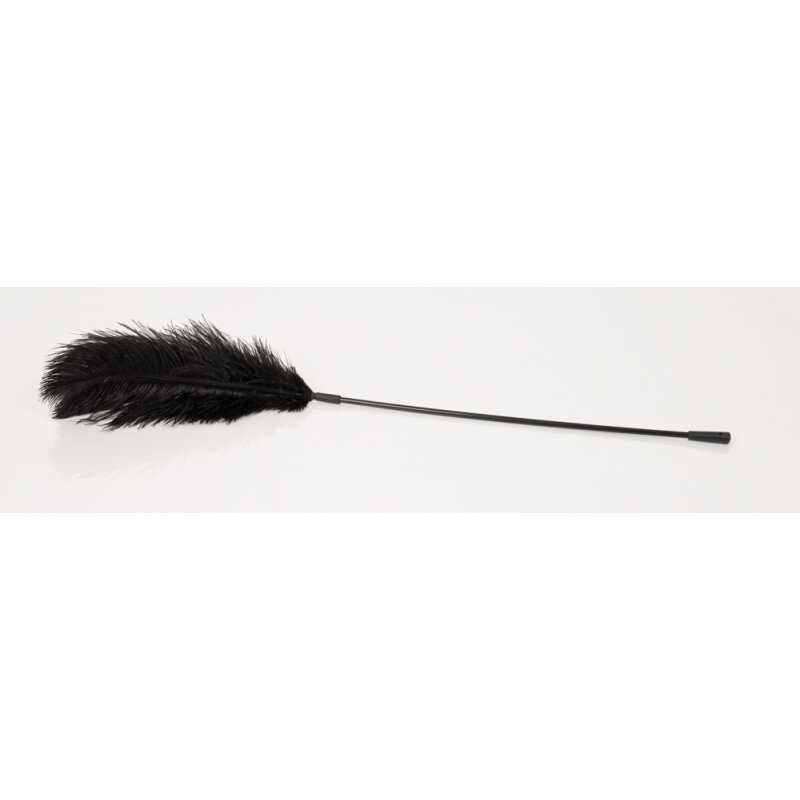 Feather Wand