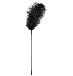 Feder schwarz