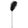 Feather Wand