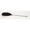 Feather Wand