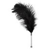 Feder schwarz Acryl