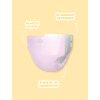 LNGU Rainbow Pastel Colors